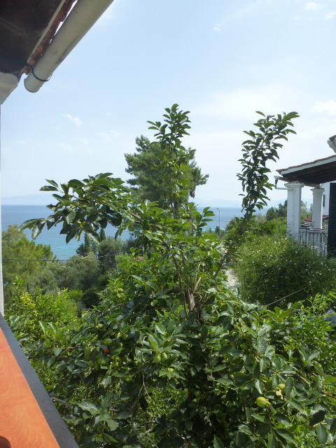 Apartment Andreas Mpoukaris